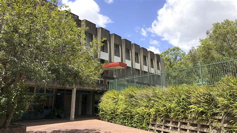 griffith university paper monkey