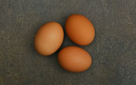 Welbar Chicken Eggs - Everything You Need to Know - LearnPoultry