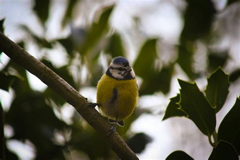 Pics+Of+Big+Tit+Redheads Photos, Download The BEST Free Pics+Of+Big+Tit