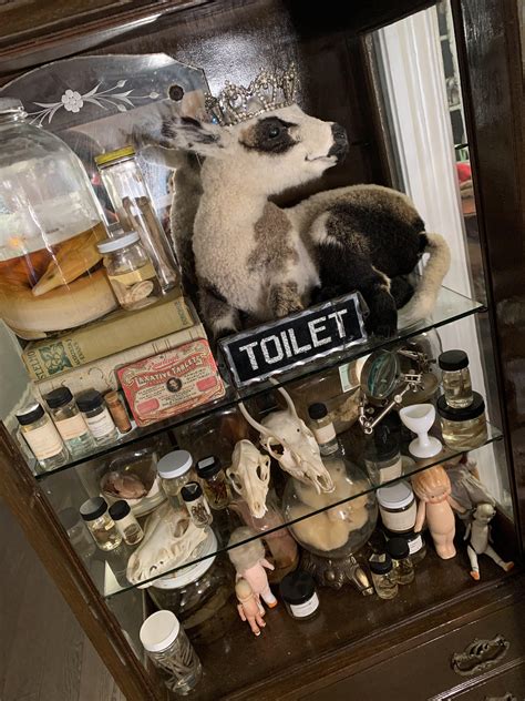 My old oddities : r/Antiques