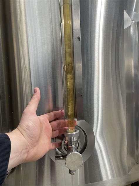 Pro’s and Con’s of dropping out cold break? This is our Czech Pils