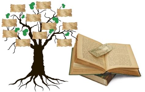 tree book stock  royalty  tree book images depositphotos