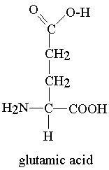 Glutamic acid definition