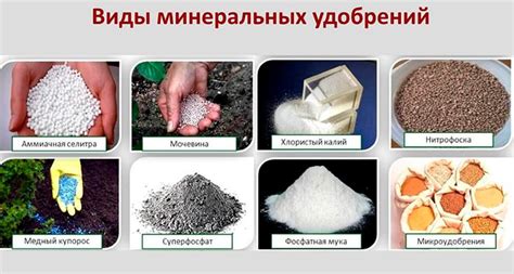 Минеральные удобрения, их виды и использование