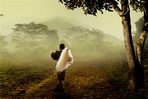 Images Gratuites : homme, arbre, la nature, forêt, lumière du soleil
