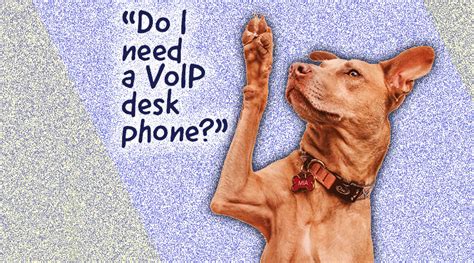 Do I Need a VoIP Desk Phone? - IP Phone Warehouse