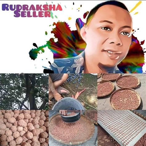 rudraksha indonesia blitar
