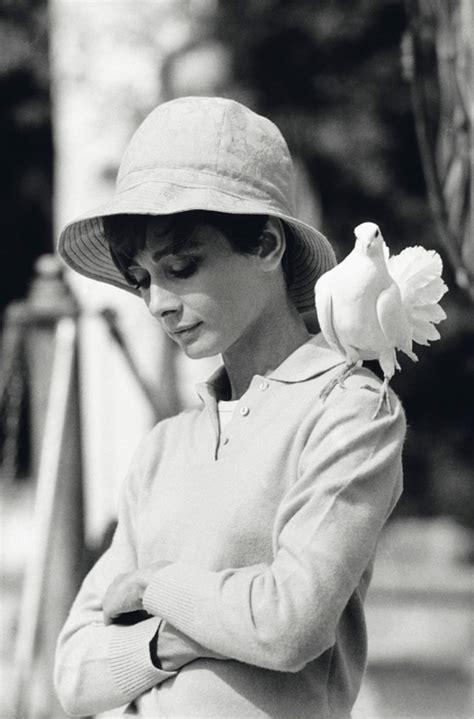 Audrey Hepburn: Wie der Filmstar zur Stilikone wurde | STERN.de