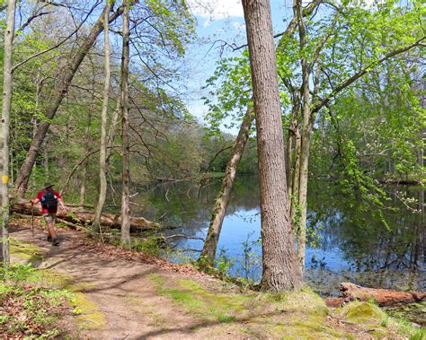 Oak Openings Metropark Hiking Trail – BackpackOhio.com