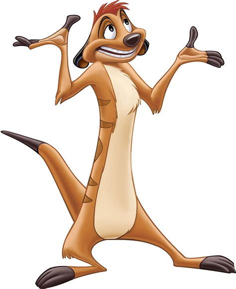 Image - Timon 1.png - DisneyWiki