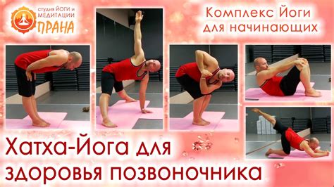 Хатха-йога для здоровья позвоночника, Йога для спины, Йога для ...