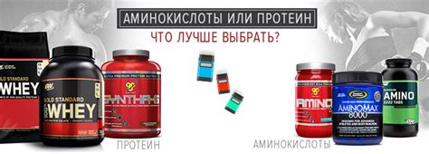 Креатин и протеин, гейнер или протеин — что лучше выбрать? - Тело Атлета