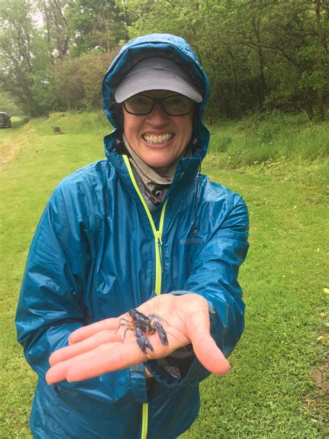 What is Pollination? – Young Naturalists Club