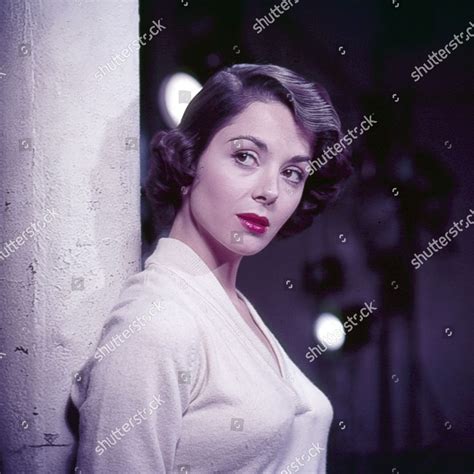 Portrait Actress Dana Wynter United States1953 Editorial Stock Photo
