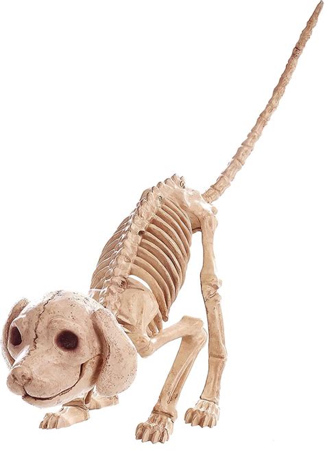 Dog-Skeleton Halloween Decor | POPSUGAR Home