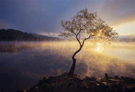 8154 best South Korea images on Pholder | City Porn, Most Beautiful and