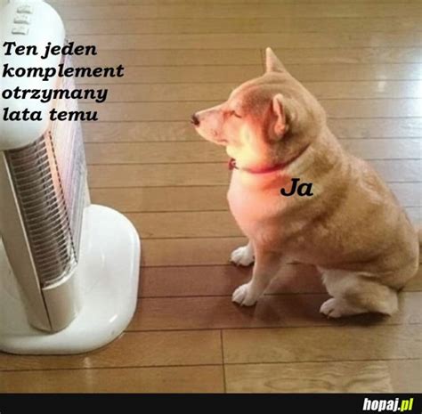 Komplement - Hopaj.pl