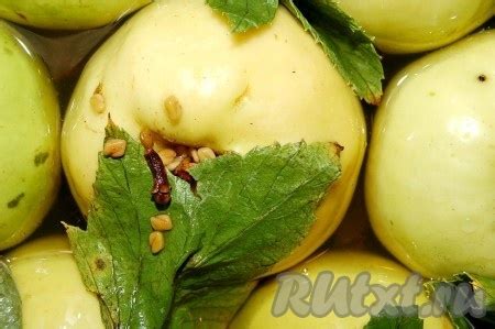 Как приготовить моченые яблоки: 9 фото в рецепте