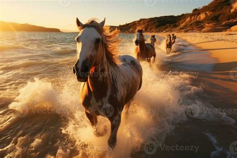 beautiful horses running   beach  sunset horses   sea ai