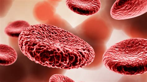 Can Anemia Be Caused By Stress? ( The Signs & Dangers Of Chronic Stress)