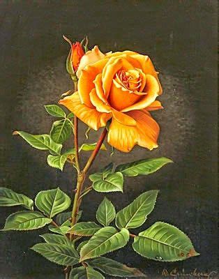 17 Best images about цветы on Pinterest | Oriental, Red poppies and Pansies
