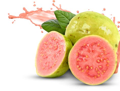 Fruit clipart guava, Picture #1173225 fruit clipart guava