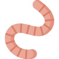 Worm PNG File | PNG Mart