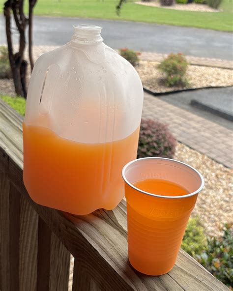 sierra hibbert byron ga 8