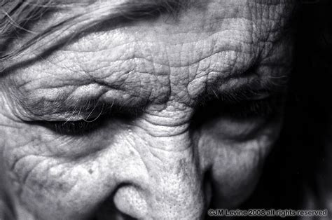 Picturing Old Age - LevineArtStudio