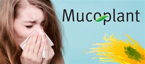 Mucoplant sirup za kašalj od bokvice - Dr Theiss - Uvek više