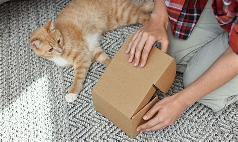 Darmowa dostawa i rabaty przez rok. Czy warto dopłacić za abonament w e ...