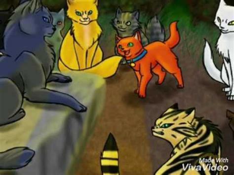 Коты Воители:Смерть Огнезвезда - YouTube