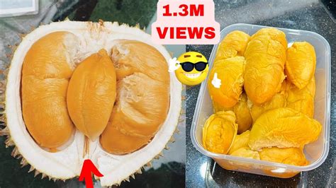 durian duri hitam black thorn durian durian ochee  durian youtube