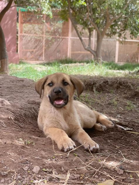 Our new arrivals here at Sara Morocco are warming our hearts with their