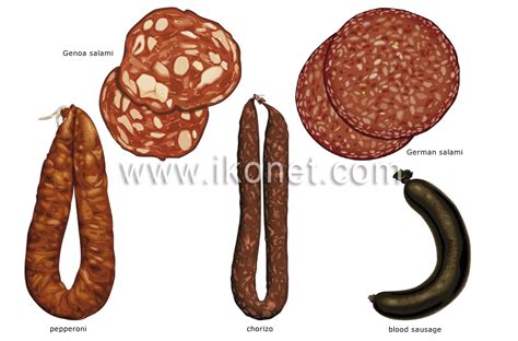 food and kitchen > food > delicatessen image - Visual Dictionary