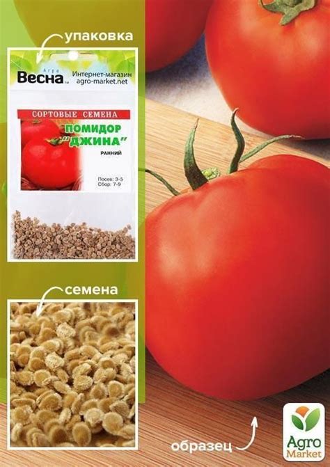 Томат "Джина" (Зипер) ТМ "Весна" 0.5г купити поштою в Одесі, Києві ...