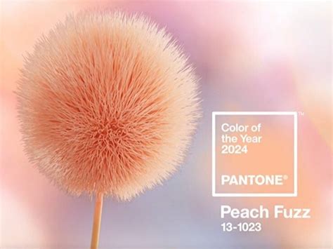 Цвет 2024 года по версии Pantone