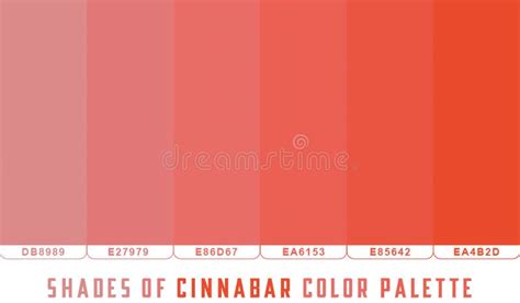 Cinnabar Tone Color Shade Background with Code and Name Illustration ...