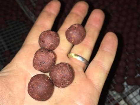 www.carpballs.cz