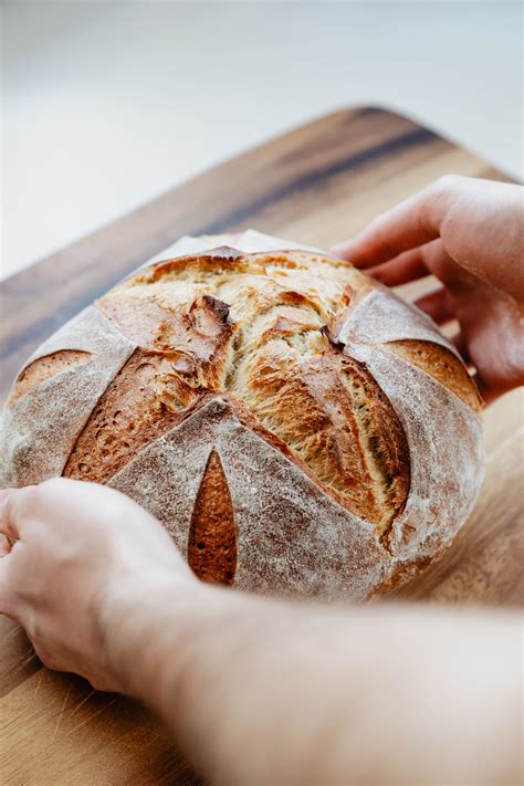 Harvest Baking Co. | Premium Sourdough Starters & Artisanal Baking Too
