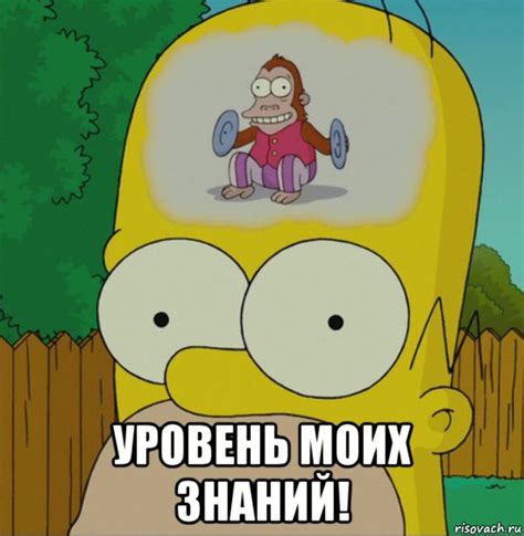 уровень моих знаний!, Мем Гомер Симпсон - Рисовач .Ру