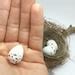 Wooden Chipping Sparrow Eggs for Science Education, Natural History ...