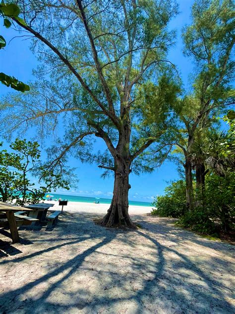 TW Pornstars - Genesis Lopez. Twitter. Florida 🥰 happy Friday everyone