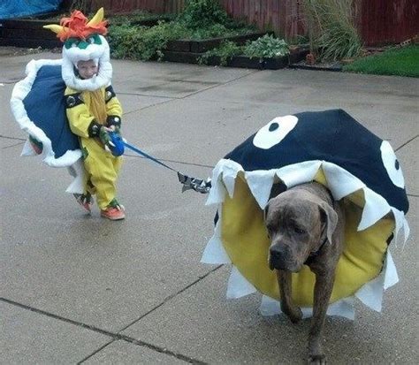 Super Mario Bros Animal costumes - Animals wearing gamer gear!