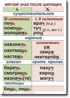 Когда пишется "ь" знак после шипящих помогите пожалуйста (пишет дочка ...