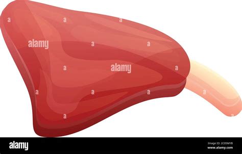 Raw meat icon. Cartoon of raw meat vector icon for web design isolated ...