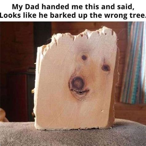 26 Hilarious Hilarious Dad Puns - Punstoppable 🛑