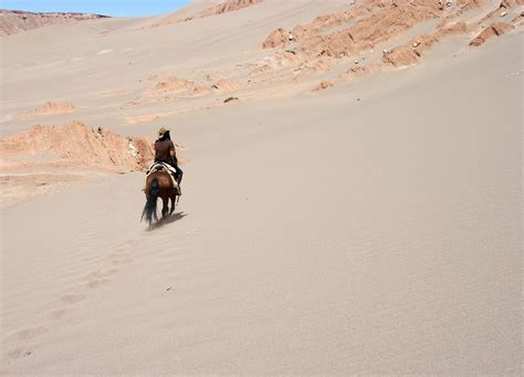 Horse Riding - Tripvana