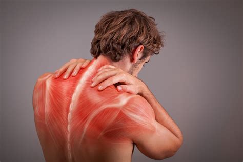 muscle pain  symptoms treatment safar medical