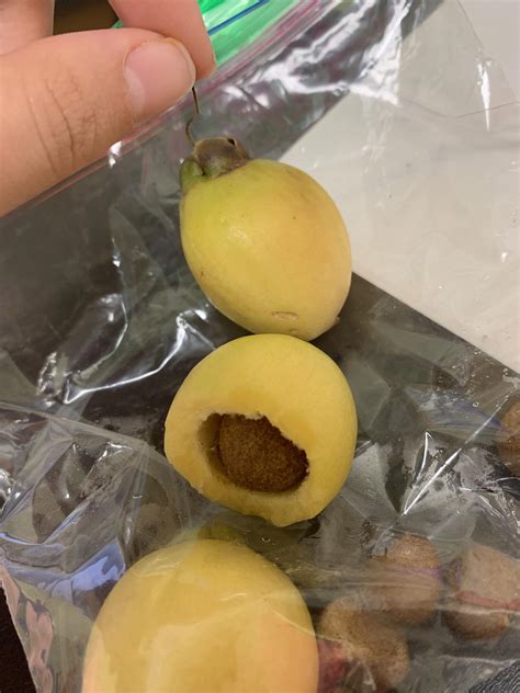 Can someone tell me what kind of fruit this is? Tastes similar to